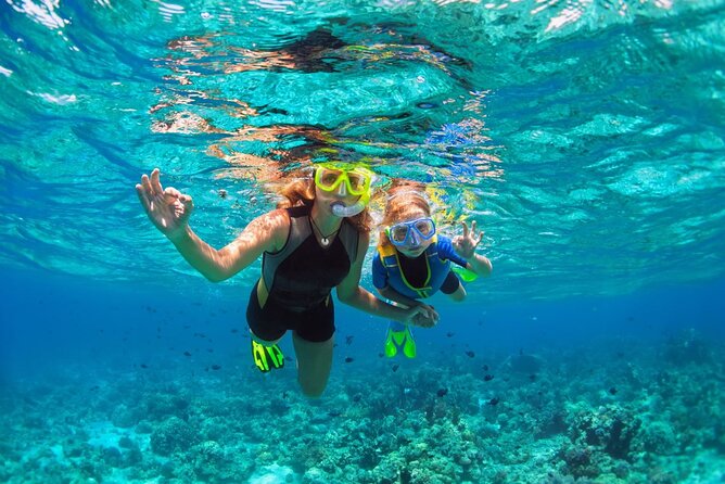 Key West Sunset Snorkel Sail 2023 /// Key West Water Sports